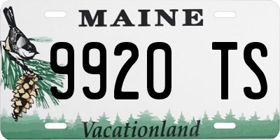 ME license plate 9920TS