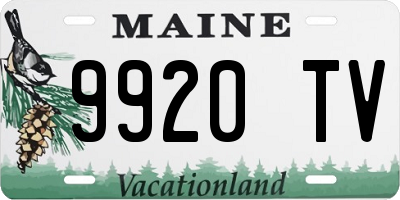 ME license plate 9920TV