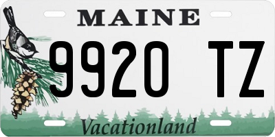 ME license plate 9920TZ