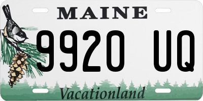 ME license plate 9920UQ