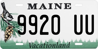 ME license plate 9920UU