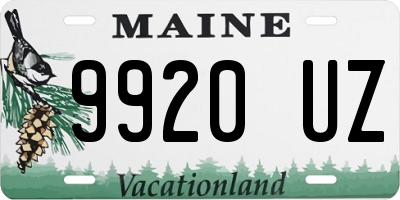 ME license plate 9920UZ