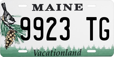 ME license plate 9923TG