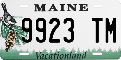 ME license plate 9923TM