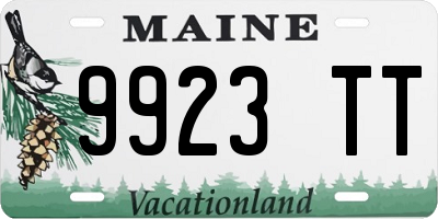 ME license plate 9923TT