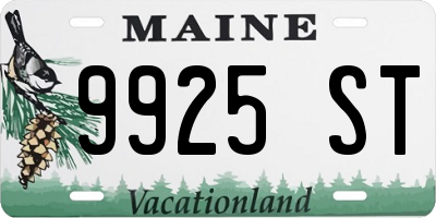 ME license plate 9925ST