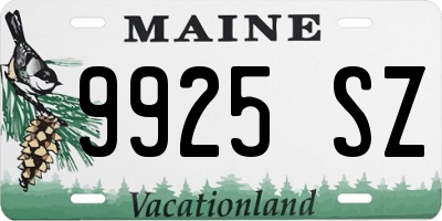 ME license plate 9925SZ