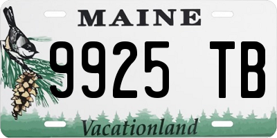 ME license plate 9925TB