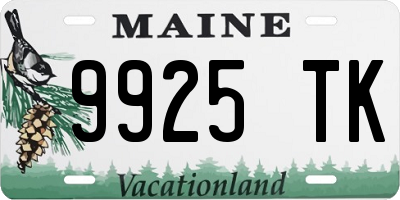 ME license plate 9925TK