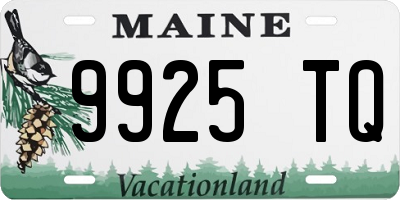 ME license plate 9925TQ
