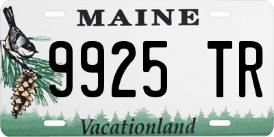 ME license plate 9925TR