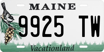 ME license plate 9925TW