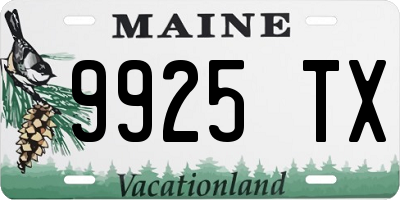 ME license plate 9925TX