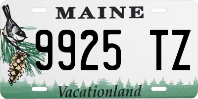 ME license plate 9925TZ