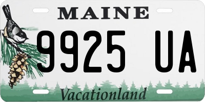 ME license plate 9925UA