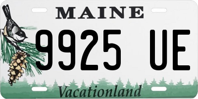 ME license plate 9925UE