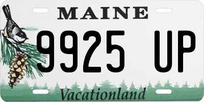 ME license plate 9925UP