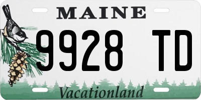 ME license plate 9928TD