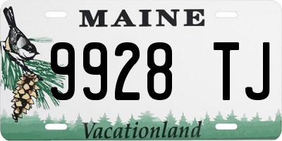 ME license plate 9928TJ