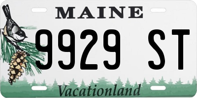 ME license plate 9929ST