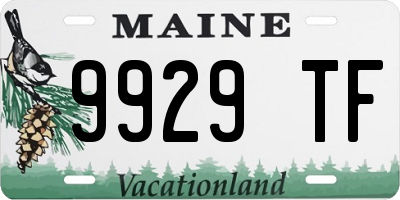 ME license plate 9929TF