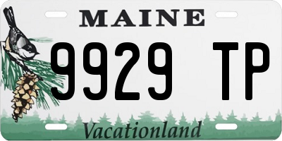 ME license plate 9929TP
