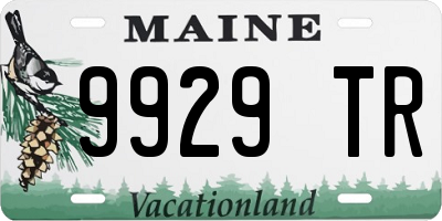 ME license plate 9929TR