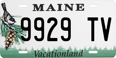 ME license plate 9929TV