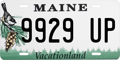 ME license plate 9929UP