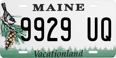 ME license plate 9929UQ