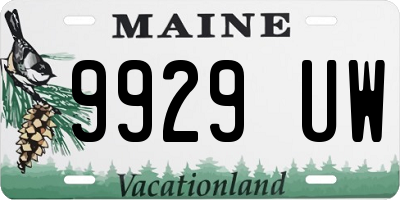 ME license plate 9929UW