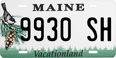 ME license plate 9930SH