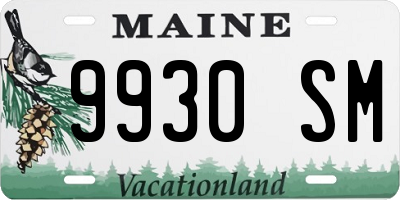 ME license plate 9930SM