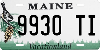 ME license plate 9930TI