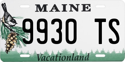 ME license plate 9930TS