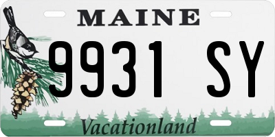 ME license plate 9931SY