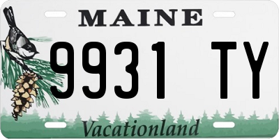 ME license plate 9931TY
