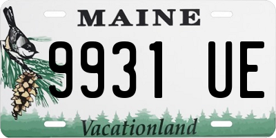 ME license plate 9931UE