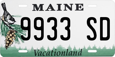 ME license plate 9933SD