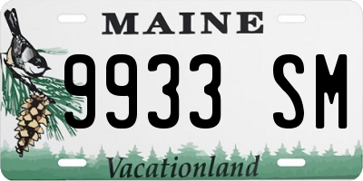 ME license plate 9933SM