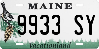 ME license plate 9933SY