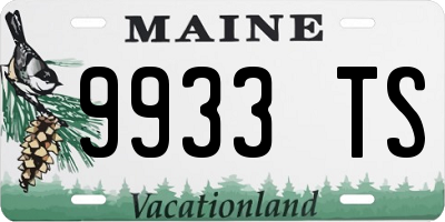 ME license plate 9933TS