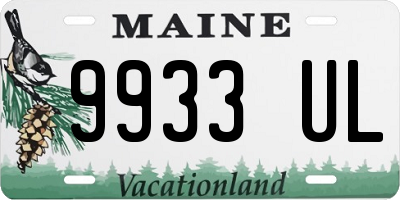 ME license plate 9933UL