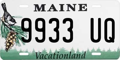 ME license plate 9933UQ