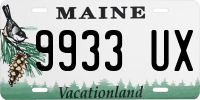 ME license plate 9933UX