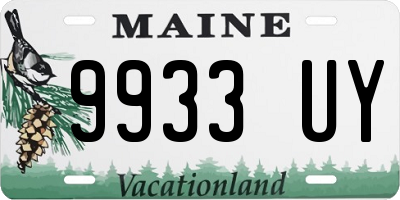 ME license plate 9933UY