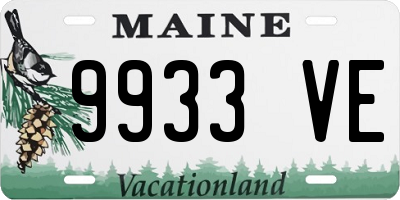 ME license plate 9933VE