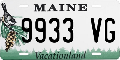 ME license plate 9933VG