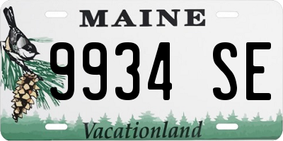 ME license plate 9934SE