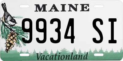 ME license plate 9934SI